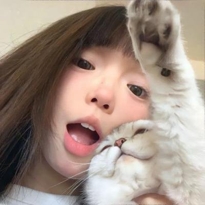 料理的秘密